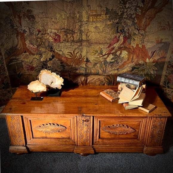 Coffre noyer XVIII ème Vénétie Italie – Image 2