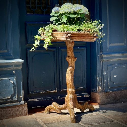 Jardinière Naturaliste, Pied Cep De Vigne Début XXème